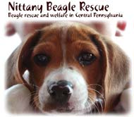 Nittany Beagle Rescue