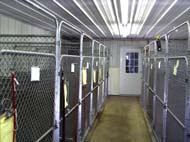 Inside kennel accomodations